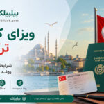 ویزای کاری ترکیه