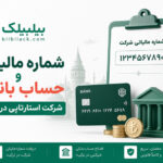 شماره مالیاتی و حساب بانکی شرکت استارتاپی در ترکیه