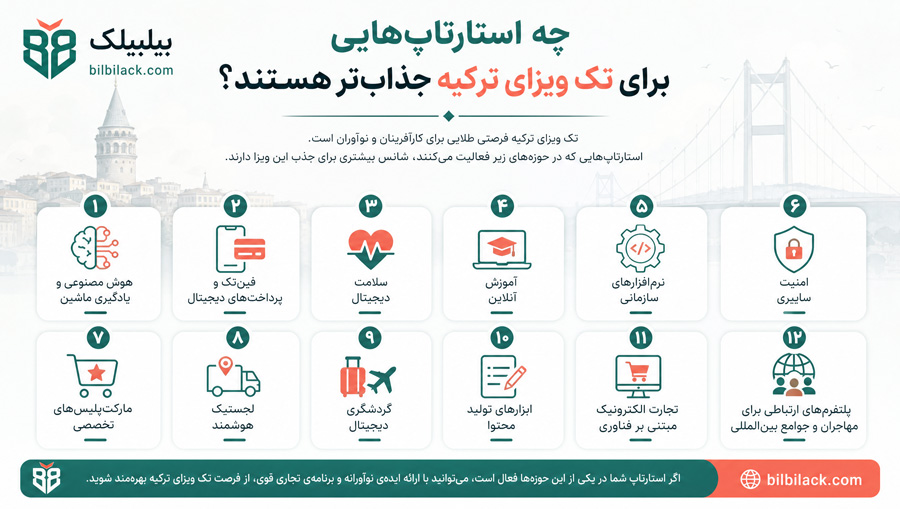 چه استارتاپ‌هایی برای تک ویزای ترکیه جذاب‌تر هستند؟